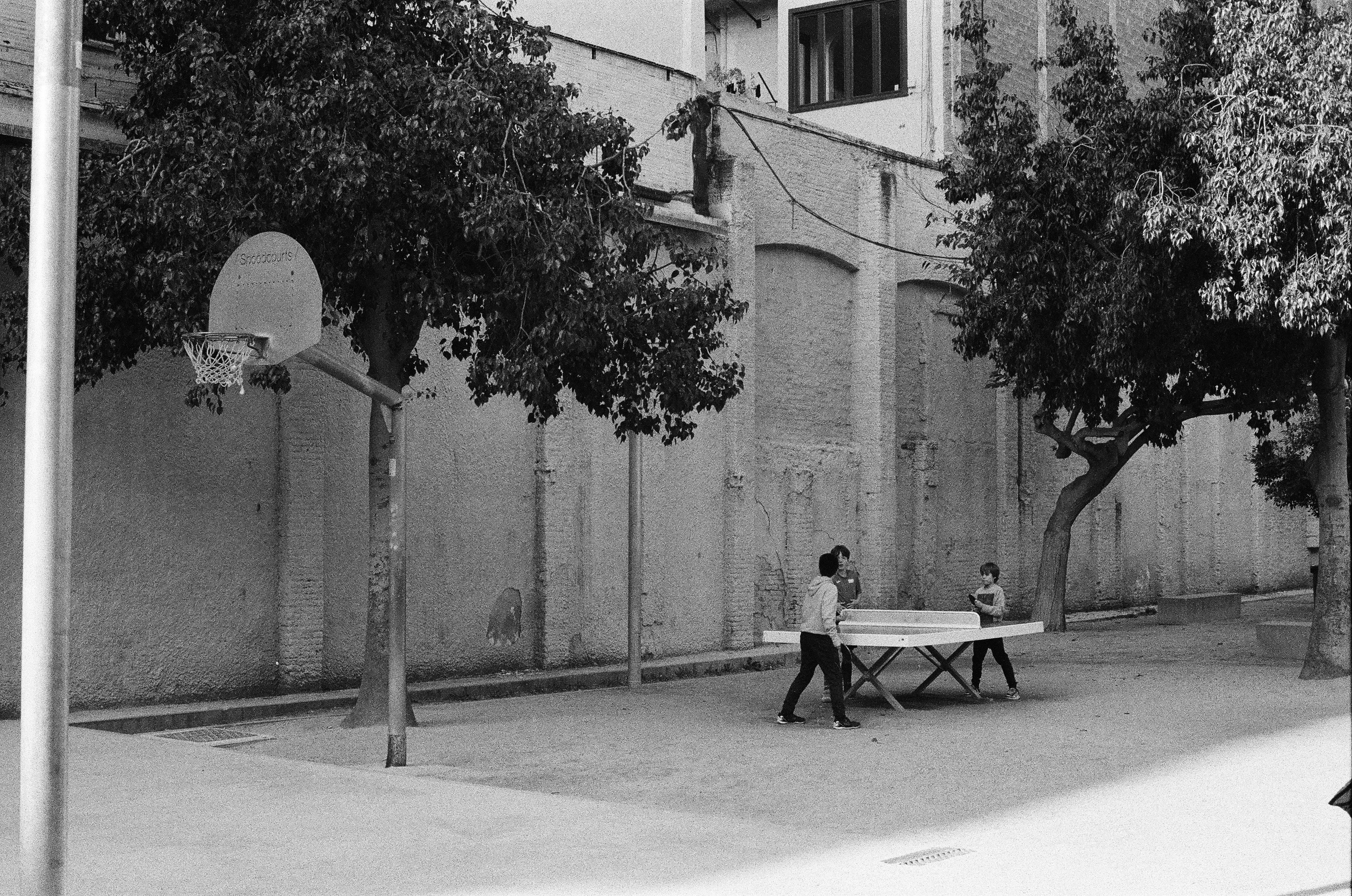 Always Overexpose Your Film: A Beginner's Guide