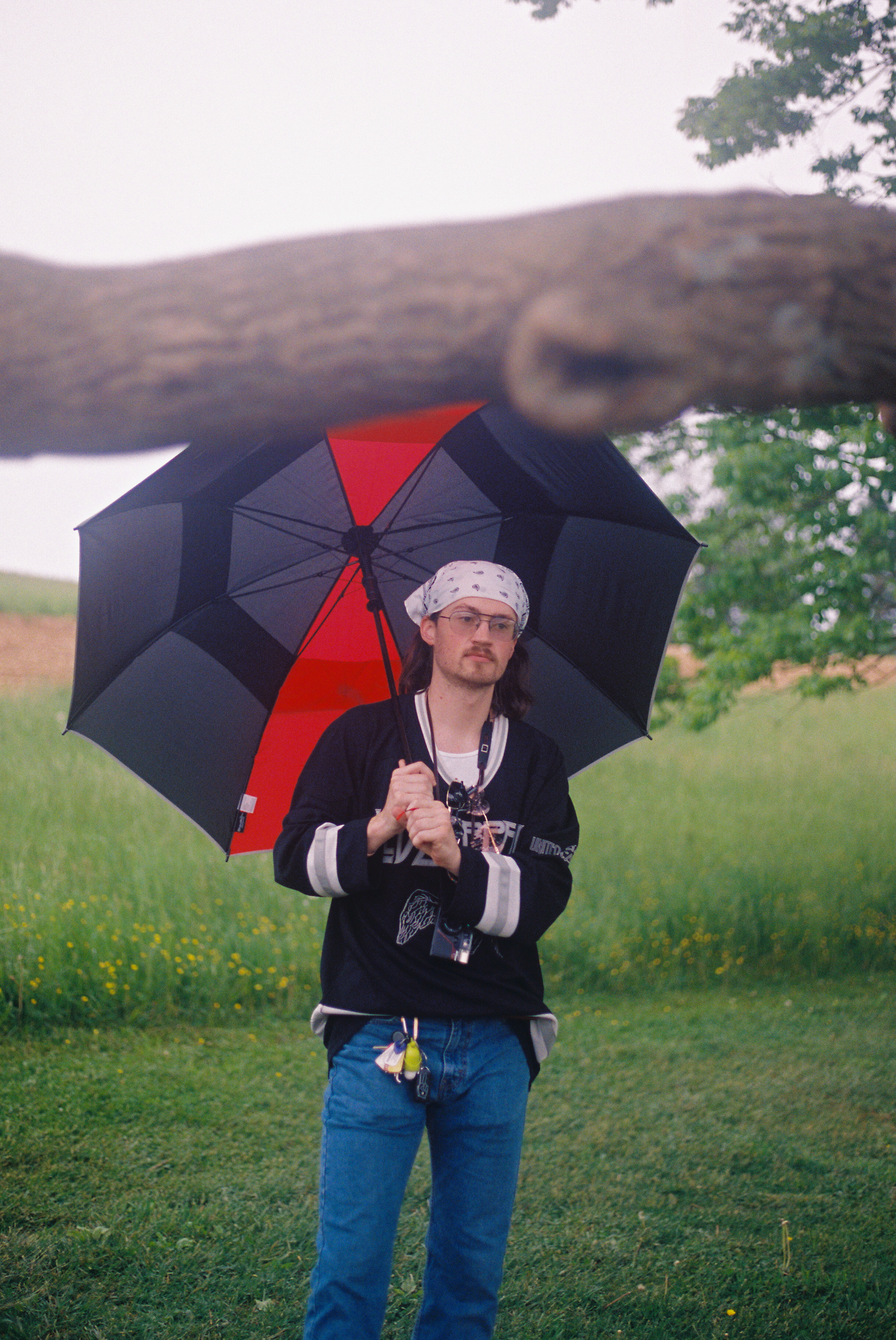 Overexposed film frame demonstrating the gradual highlight rolloff that digital sensors cannot replicate