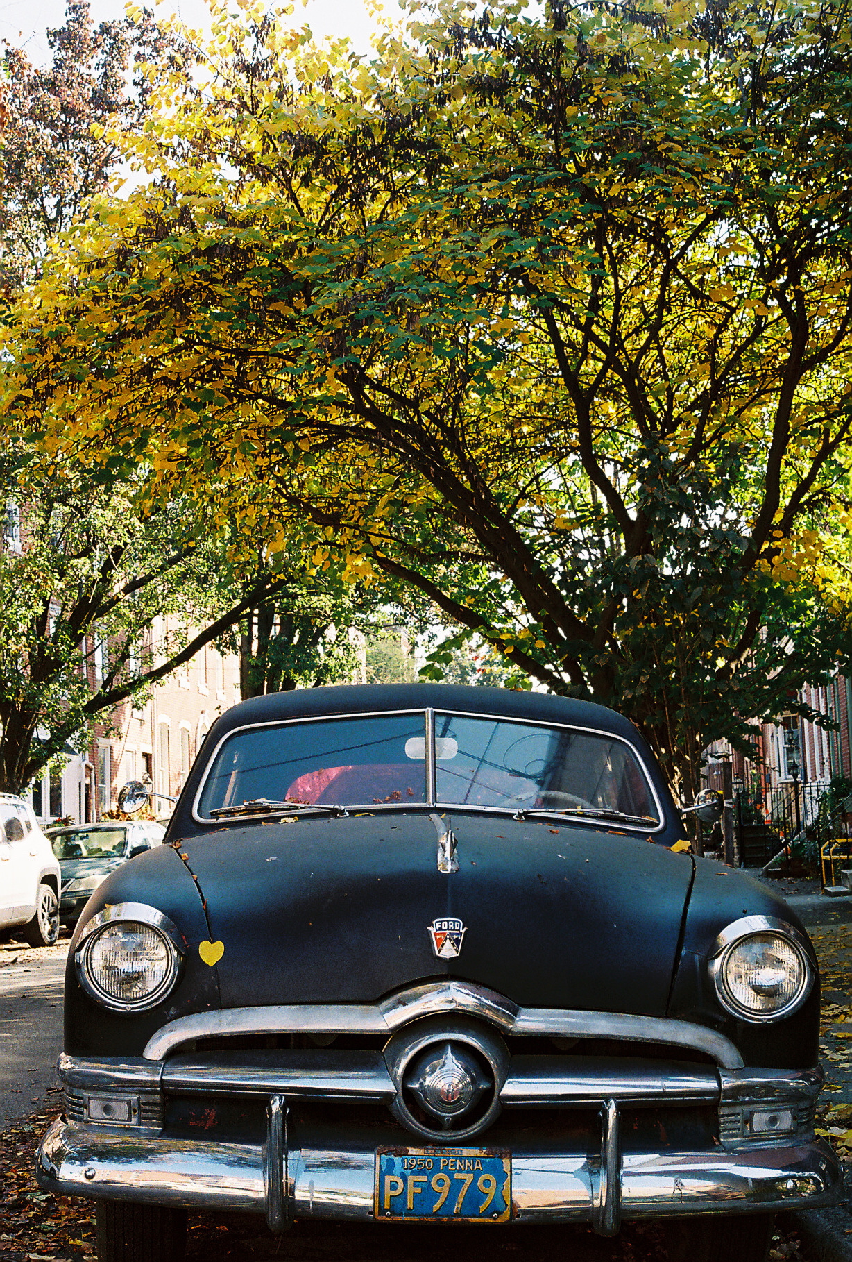 Overexposed color film frame on a different stock, shadows protected by the extra exposure